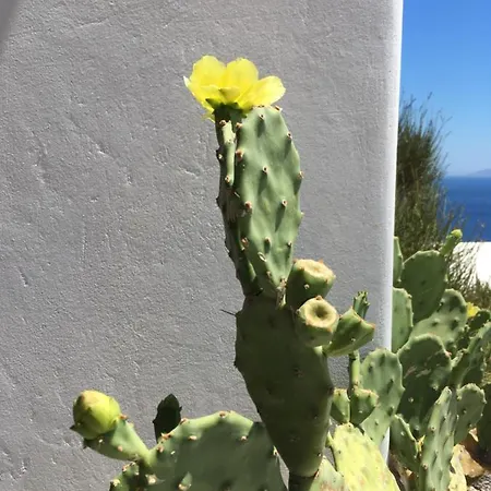 Amazing Sea View, Mykonos Cycladic Villa, Priv Pool Платис Ялос