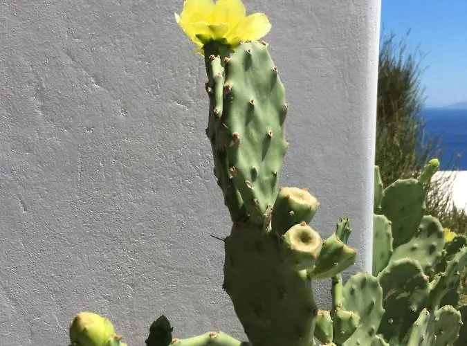 Amazing Sea View, Mykonos Cycladic Villa, Priv Pool Platys Gialos (Mykonos)